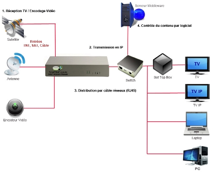shemaiptv